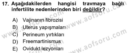 Doğum Bilgisi ve Suni Tohumlama Dersi 2024 - 2025 Yılı Yaz Okulu Sınav Soruları 17. Soru
