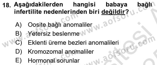 Doğum Bilgisi ve Suni Tohumlama Dersi 2024 - 2025 Yılı Yaz Okulu Sınav Soruları 18. Soru