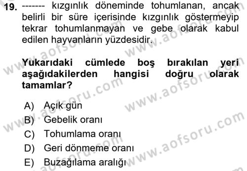 Doğum Bilgisi ve Suni Tohumlama Dersi 2024 - 2025 Yılı Yaz Okulu Sınav Soruları 19. Soru