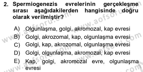 Doğum Bilgisi ve Suni Tohumlama Dersi 2024 - 2025 Yılı Yaz Okulu Sınav Soruları 2. Soru