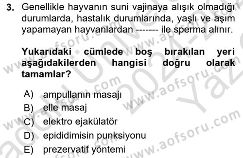 Doğum Bilgisi ve Suni Tohumlama Dersi 2024 - 2025 Yılı Yaz Okulu Sınav Soruları 3. Soru