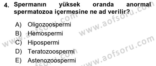 Doğum Bilgisi ve Suni Tohumlama Dersi 2024 - 2025 Yılı Yaz Okulu Sınav Soruları 4. Soru