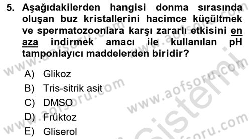 Doğum Bilgisi ve Suni Tohumlama Dersi 2024 - 2025 Yılı Yaz Okulu Sınav Soruları 5. Soru