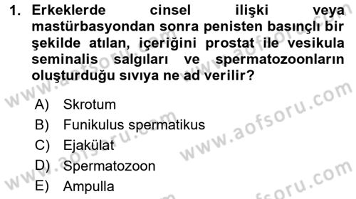 Doğum Bilgisi ve Suni Tohumlama Dersi 2025 - 2026 Yılı (Vize) Ara Sınav Soruları 1. Soru