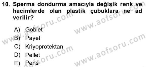 Doğum Bilgisi ve Suni Tohumlama Dersi 2025 - 2026 Yılı (Vize) Ara Sınav Soruları 10. Soru