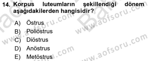 Doğum Bilgisi ve Suni Tohumlama Dersi 2025 - 2026 Yılı (Vize) Ara Sınav Soruları 14. Soru