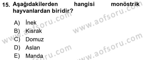 Doğum Bilgisi ve Suni Tohumlama Dersi 2025 - 2026 Yılı (Vize) Ara Sınav Soruları 15. Soru