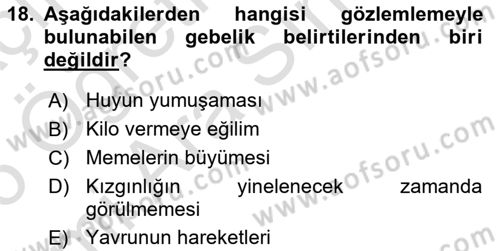 Doğum Bilgisi ve Suni Tohumlama Dersi 2025 - 2026 Yılı (Vize) Ara Sınav Soruları 18. Soru