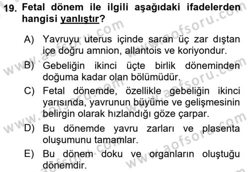 Doğum Bilgisi ve Suni Tohumlama Dersi 2025 - 2026 Yılı (Vize) Ara Sınav Soruları 19. Soru