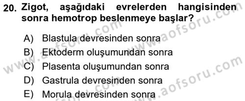 Doğum Bilgisi ve Suni Tohumlama Dersi 2025 - 2026 Yılı (Vize) Ara Sınav Soruları 20. Soru