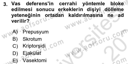 Doğum Bilgisi ve Suni Tohumlama Dersi 2025 - 2026 Yılı (Vize) Ara Sınav Soruları 3. Soru