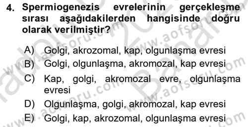 Doğum Bilgisi ve Suni Tohumlama Dersi 2025 - 2026 Yılı (Vize) Ara Sınav Soruları 4. Soru
