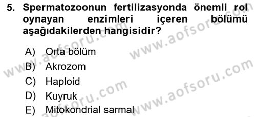 Doğum Bilgisi ve Suni Tohumlama Dersi 2025 - 2026 Yılı (Vize) Ara Sınav Soruları 5. Soru