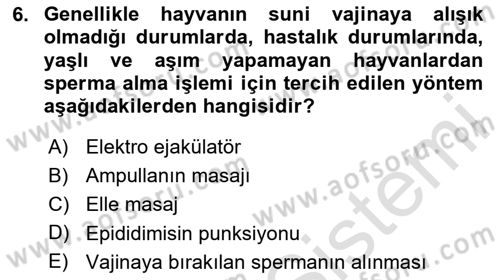 Doğum Bilgisi ve Suni Tohumlama Dersi 2025 - 2026 Yılı (Vize) Ara Sınav Soruları 6. Soru