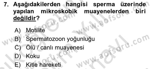 Doğum Bilgisi ve Suni Tohumlama Dersi 2025 - 2026 Yılı (Vize) Ara Sınav Soruları 7. Soru