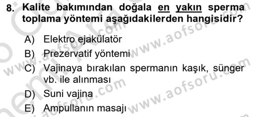 Doğum Bilgisi ve Suni Tohumlama Dersi 2025 - 2026 Yılı (Vize) Ara Sınav Soruları 8. Soru