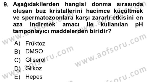Doğum Bilgisi ve Suni Tohumlama Dersi 2025 - 2026 Yılı (Vize) Ara Sınav Soruları 9. Soru