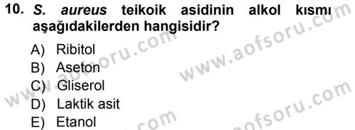 Veteriner Mikrobiyoloji ve Epidemiyoloji Dersi 2012 - 2013 Yılı (Vize) Ara Sınav Soruları 10. Soru