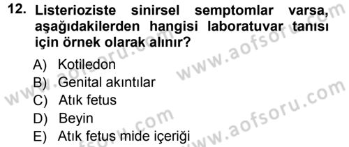 Veteriner Mikrobiyoloji ve Epidemiyoloji Dersi 2012 - 2013 Yılı (Vize) Ara Sınavı 12. Soru