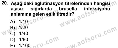 Veteriner Mikrobiyoloji ve Epidemiyoloji Dersi 2012 - 2013 Yılı (Vize) Ara Sınav Soruları 20. Soru