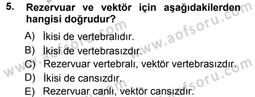 Veteriner Mikrobiyoloji ve Epidemiyoloji Dersi 2012 - 2013 Yılı (Vize) Ara Sınav Soruları 5. Soru