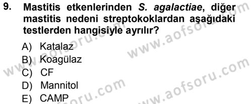 Veteriner Mikrobiyoloji ve Epidemiyoloji Dersi 2012 - 2013 Yılı (Vize) Ara Sınav Soruları 9. Soru