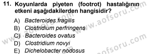 Veteriner Mikrobiyoloji ve Epidemiyoloji Dersi 2012 - 2013 Yılı (Final) Dönem Sonu Sınav Soruları 11. Soru