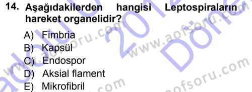 Veteriner Mikrobiyoloji ve Epidemiyoloji Dersi 2012 - 2013 Yılı (Final) Dönem Sonu Sınav Soruları 14. Soru