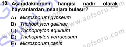 Veteriner Mikrobiyoloji ve Epidemiyoloji Dersi 2012 - 2013 Yılı (Final) Dönem Sonu Sınav Soruları 18. Soru