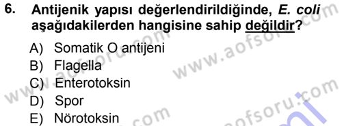 Veteriner Mikrobiyoloji ve Epidemiyoloji Dersi 2012 - 2013 Yılı (Final) Dönem Sonu Sınavı 6. Soru