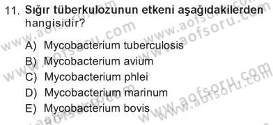 Veteriner Mikrobiyoloji ve Epidemiyoloji Dersi 2012 - 2013 Yılı Tek Ders Sınav Soruları 11. Soru