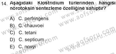 Veteriner Mikrobiyoloji ve Epidemiyoloji Dersi 2012 - 2013 Yılı Tek Ders Sınav Soruları 14. Soru