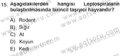 Veteriner Mikrobiyoloji ve Epidemiyoloji Dersi 2012 - 2013 Yılı Tek Ders Sınav Soruları 15. Soru