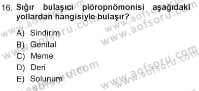 Veteriner Mikrobiyoloji ve Epidemiyoloji Dersi 2012 - 2013 Yılı Tek Ders Sınav Soruları 16. Soru