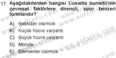Veteriner Mikrobiyoloji ve Epidemiyoloji Dersi 2012 - 2013 Yılı Tek Ders Sınav Soruları 17. Soru