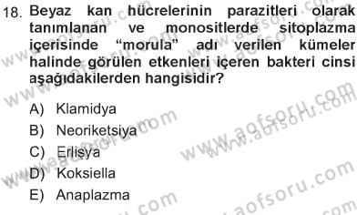 Veteriner Mikrobiyoloji ve Epidemiyoloji Dersi 2012 - 2013 Yılı Tek Ders Sınav Soruları 18. Soru