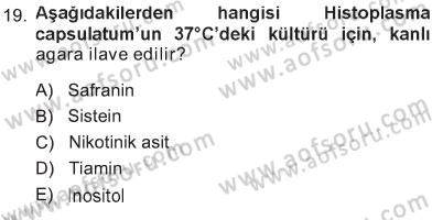 Veteriner Mikrobiyoloji ve Epidemiyoloji Dersi 2012 - 2013 Yılı Tek Ders Sınav Soruları 19. Soru