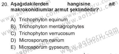 Veteriner Mikrobiyoloji ve Epidemiyoloji Dersi 2012 - 2013 Yılı Tek Ders Sınav Soruları 20. Soru