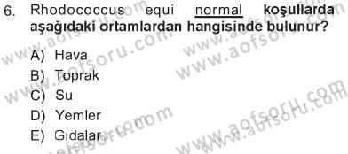 Veteriner Mikrobiyoloji ve Epidemiyoloji Dersi 2012 - 2013 Yılı Tek Ders Sınav Soruları 6. Soru