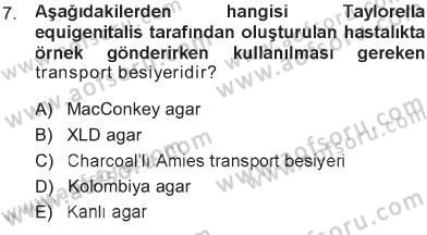 Veteriner Mikrobiyoloji ve Epidemiyoloji Dersi 2012 - 2013 Yılı Tek Ders Sınav Soruları 7. Soru