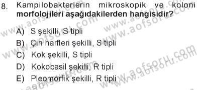 Veteriner Mikrobiyoloji ve Epidemiyoloji Dersi 2012 - 2013 Yılı Tek Ders Sınav Soruları 8. Soru