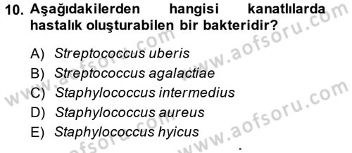 Veteriner Mikrobiyoloji ve Epidemiyoloji Dersi 2013 - 2014 Yılı (Vize) Ara Sınav Soruları 10. Soru