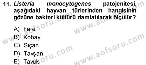 Veteriner Mikrobiyoloji ve Epidemiyoloji Dersi 2013 - 2014 Yılı (Vize) Ara Sınav Soruları 11. Soru