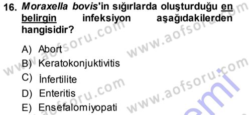 Veteriner Mikrobiyoloji ve Epidemiyoloji Dersi 2013 - 2014 Yılı (Vize) Ara Sınav Soruları 16. Soru