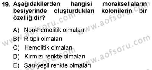 Veteriner Mikrobiyoloji ve Epidemiyoloji Dersi 2013 - 2014 Yılı (Vize) Ara Sınav Soruları 19. Soru