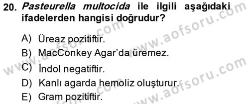 Veteriner Mikrobiyoloji ve Epidemiyoloji Dersi Ara Sınavı Deneme Sınav Soruları 20. Soru