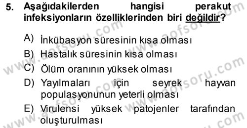 Veteriner Mikrobiyoloji ve Epidemiyoloji Dersi 2013 - 2014 Yılı (Vize) Ara Sınav Soruları 5. Soru
