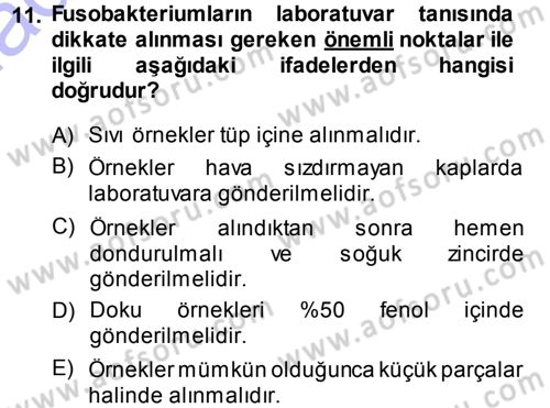 Veteriner Mikrobiyoloji ve Epidemiyoloji Dersi 2013 - 2014 Yılı (Final) Dönem Sonu Sınav Soruları 11. Soru