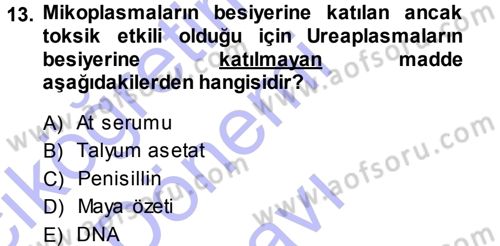 Veteriner Mikrobiyoloji ve Epidemiyoloji Dersi 2013 - 2014 Yılı (Final) Dönem Sonu Sınavı 13. Soru