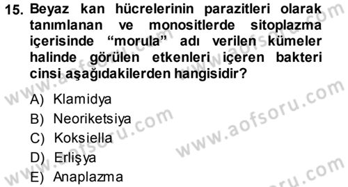 Veteriner Mikrobiyoloji ve Epidemiyoloji Dersi 2013 - 2014 Yılı (Final) Dönem Sonu Sınav Soruları 15. Soru